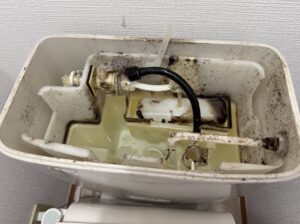 トイレタンク内側のカビ汚れ洗浄前